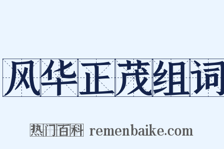 风华正茂组词是什么意思的图片